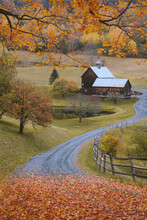 The Most Beautiful Farm, Sleepy Hollow Farm, Vermont Fall