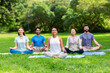 © Syda Productions - fitness, sport, yoga and healthy lifestyle concept - group of happy people meditating in lotus pose at summer park