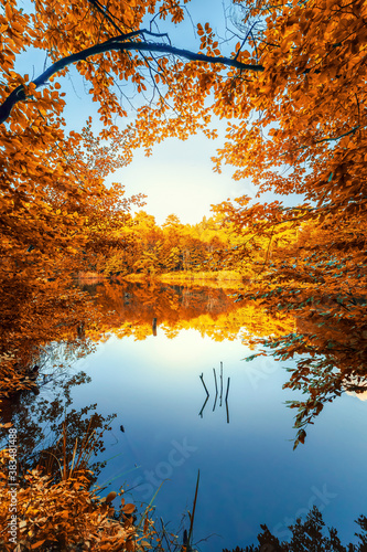 Dekoracja na wymiar  jesienne-drzewa-w-sloncu-jesienny-krajobraz-na-jeziorze-kolory-jesieni-yedigoller-narodowy