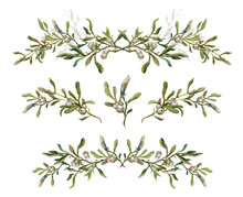 Watercolor Collection Of Hand Drawn Mistletoe Borders Isolated On White Background. Traditional Christmas Decoration, Festive Garland, Winter Plant, Evergreen Twig With Berries. Vintage Style Botanica