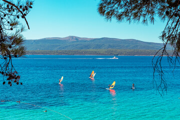 Wall Mural - Sailboats at sea