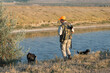 © Mountains Hunter - Duck hunter with shotgun walking through a meadow.