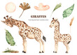 Cute giraffes mom and baby, palm leaves, cloud, savanna grass watercolor clipart