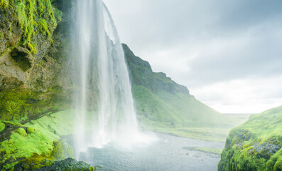 Wall Mural - Seljalandfoss waterfall in summer time, Iceland