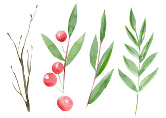 Wall Mural - Christmas set of branch, leaves, berries, holly on white isolated background, Watercolor illustration.