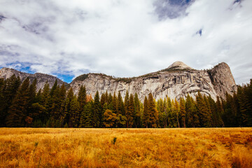 Canvas Print - Yosemite Valley and Meadows in USA