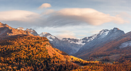 Wall Mural - atumn mountains near lake sils (silsersee) in swiss alps. colorful forest with orange larch. switzer