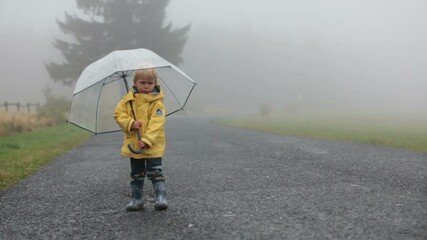 Poster - Cute blond toddler child, boy, playing in the rain with umbrella on a foggy autumn day on a rural road