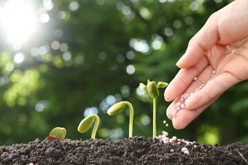 hand of a farmer giving fertilizer to young green plants / nurturing baby plant with chemical fertilizer on green bokeh background