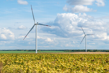 Wind energy concept. Turbines in rural area to supply countryside with electricity. Aerial landscape