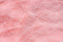 Pink Fur Texture Top View. Coral Fluffy Fabric Coat Background. Winter Fashion Color Trends Feminine Flat Lay, Female Blog Backdrop For Text Signs Desidgn. Girly Abstract Wallpaper, Textile Surface.