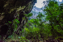 Deer Cave Mulu National Park Borneo.