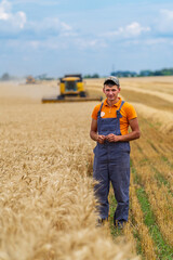 Farmer observing harvesting process. Combine works in field. Dry wheat and rural landscape.