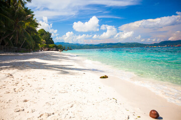 Wall Mural - Perfect tropical beach with turquoise water and white sand