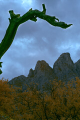 Wall Mural - Vertical Infrared of the Organ Mountains.