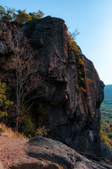 Wall Mural - Cliff face and bare tree on the Breakneck Ridge hiking trail near Cold Spring, New York, in the Lower Hudson Valley