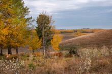 Autumn Landscape In Prairie Parklands Of Alberta