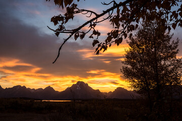Wall Mural - beautiful landscape of the sunset at oxbow bend in grand teton national park (wyoming).