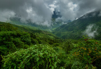  Play of clouds in green valley seen near Cherrapunji , Meghalaya, India, Asia
