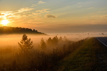 Wall Mural - Sunrise, in the foreground the road passing through the field is covered with a thin layer of fog