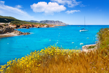 Ibiza island Canal d en Marti Pou des Lleo beach