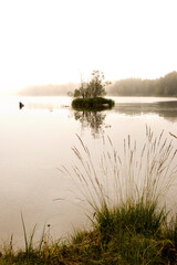 Canvas Print - Fog on Lake