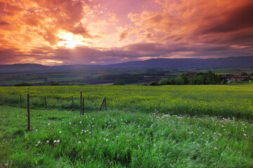 Wall Mural - Green meadow under sunset sky with clouds