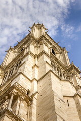 Canvas Print - Tower in the Notre Dame cathedral, Paris