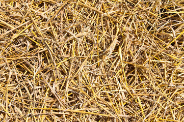 Poster - straw closeup as background