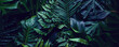 Leinwanddruck Bild - closeup tropical green leaf background. Flat lay, fresh wallpaper banner concept