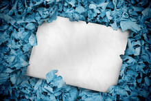 White Poster Buried Into Blue Leaves