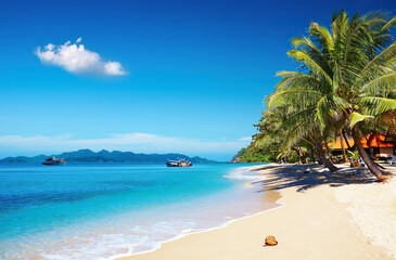 Poster - Tropical beach, Thailand