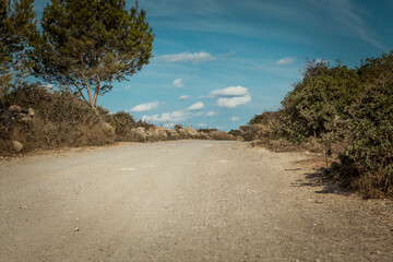 Poster - empty road in sunlight blue sky destination