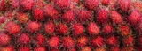 Rambutan backgrounds. Fresh healthy red rambutan fruits