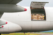Livestock in wooden boxes secured by nettings being shipped on the main deck cargo hold of a Jumbo Jet freighter aircraft
