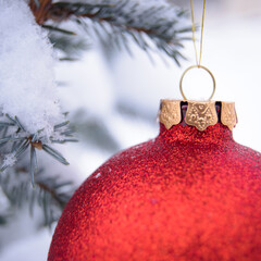 Canvas Print - Beautiful Red Christmas Ball on the Fir Branch Covered with Snow