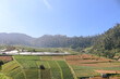 Beautiful rice fields terrace with mountain background and blue sky in tawangmangu, Solo, Indonesia