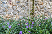 Bushes With Purple Flowers On A Stone Wall Background