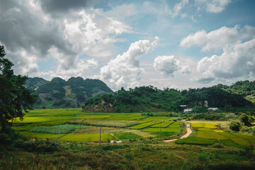 Green rice fields and hills, view from Ban Ang lake, Moc Chau, Vietnam.