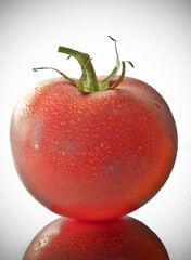 Canvas Print - closeup of a wet tomato