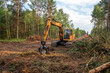 Excavator Grapple during clearing forest for new development. Tracked Backhoe with forest clamp for forestry work. Tracked timber Crane and Hydraulic Grab log Loader.