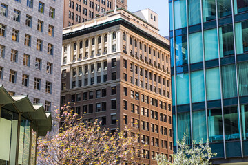 Wall Mural - San Francisco downtown buildings in California