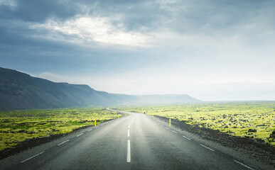 Wall Mural - road in summer iceland