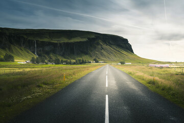 Wall Mural - Icelandic landscape with asphalt road