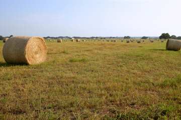 Sticker - Golden Straw Hay Bales in american countryside