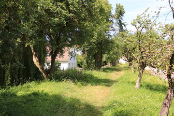 Grünstreifen an der Stadtmauer von Greding in Bayern