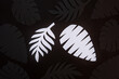 Close up photo of Black and white paper cut on background.  Realistic tropical plant leaves shape paper cut decoration.