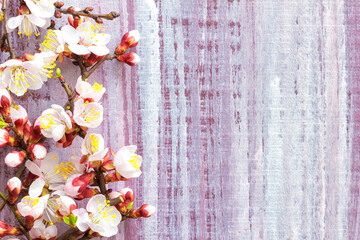 Wall Mural - Blossoming branch