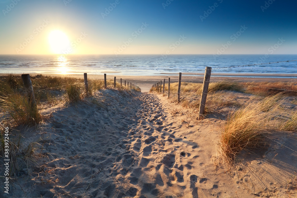 path to sand beach in North sea - obrazy, fototapety, plakaty 
