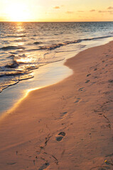 Wall Mural - Footprints on sandy beach at sunrise